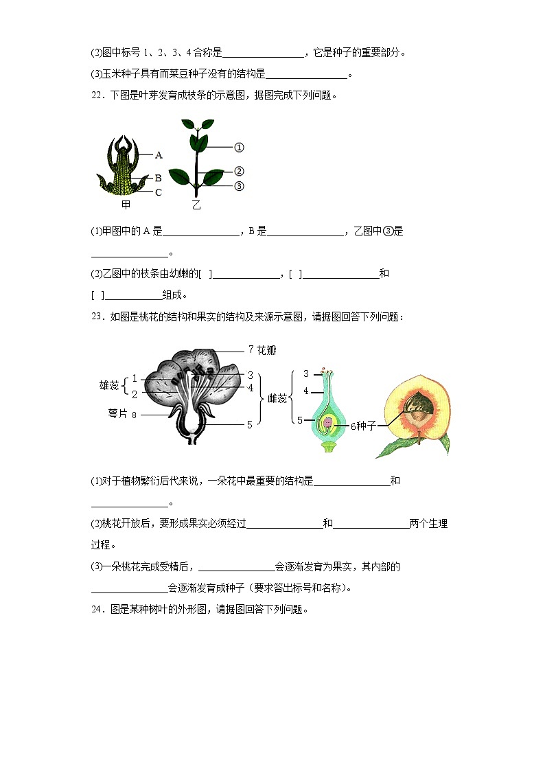 吉林省四平市铁东区2021-2022学年七年级上学期期末生物试题(word版含答案)第3页