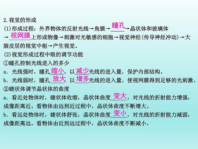 2022年中考生物一轮复习课件:人体生命活动的调节第6页