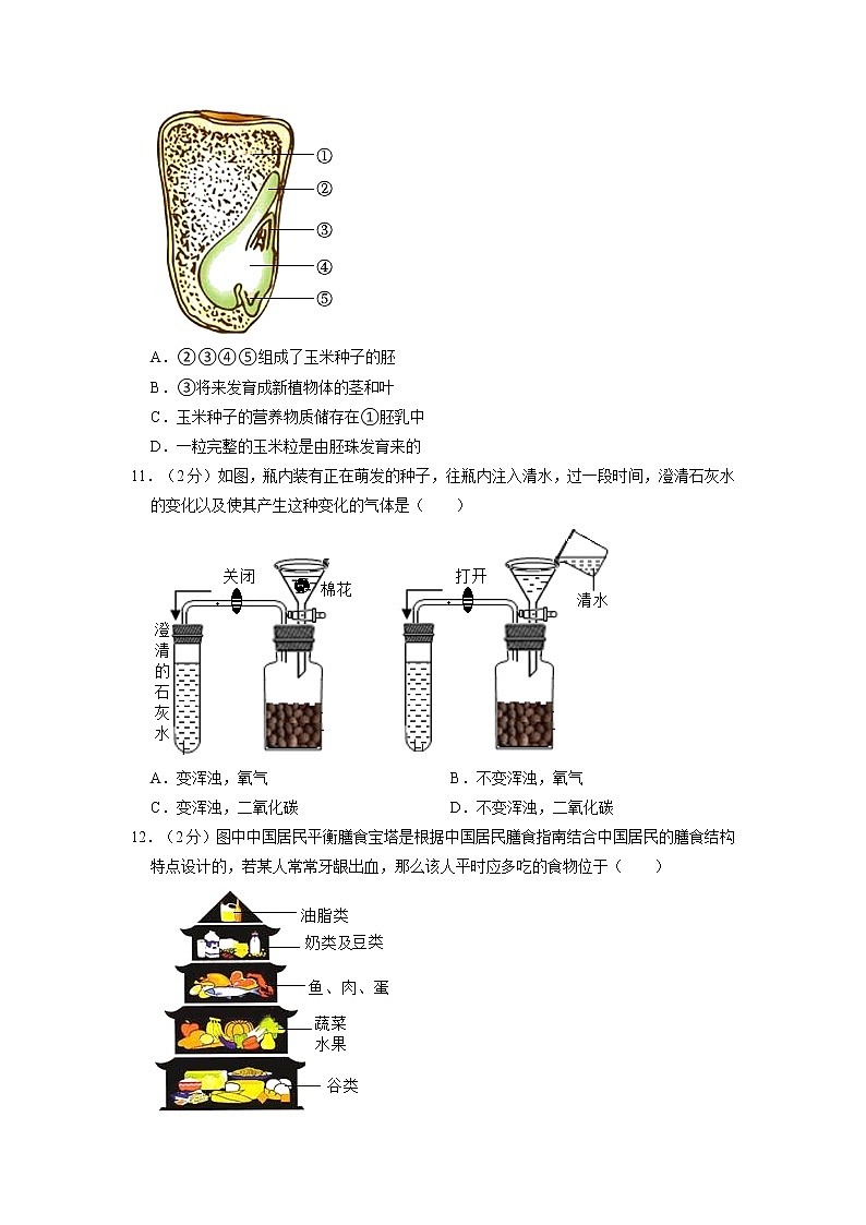 2022年广东省江门市台山市中考模拟试题生物试卷+03