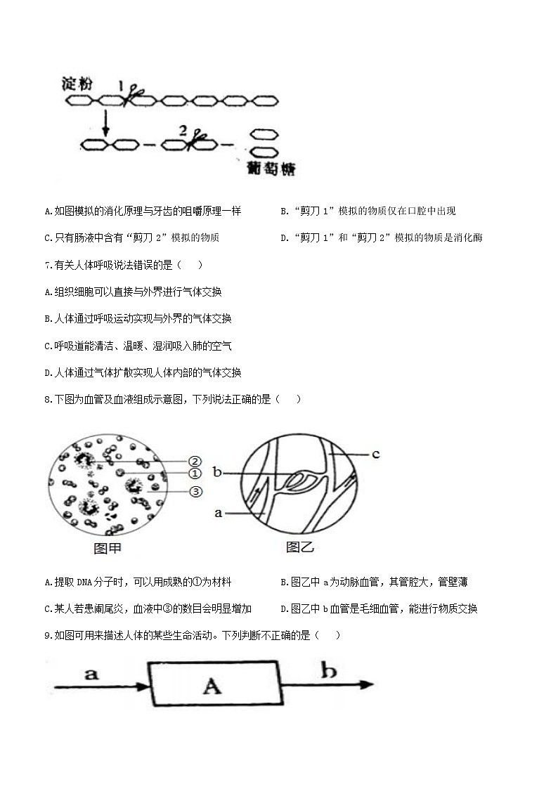 2022年四川省内江市第六中学中考一模生物试题(word版含答案)03