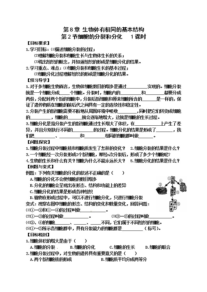 苏科版七年级生物下册学案:第8章第2节细胞的分裂和分化01
