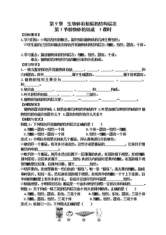 苏科版七年级生物下册学案:第9章 第1节植物体的组成第1页