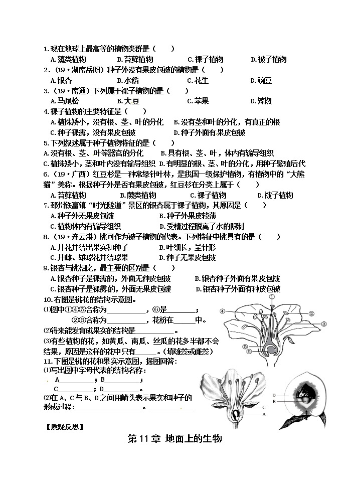 苏科版七年级生物下册学案：第11章第1节地面上的植物02