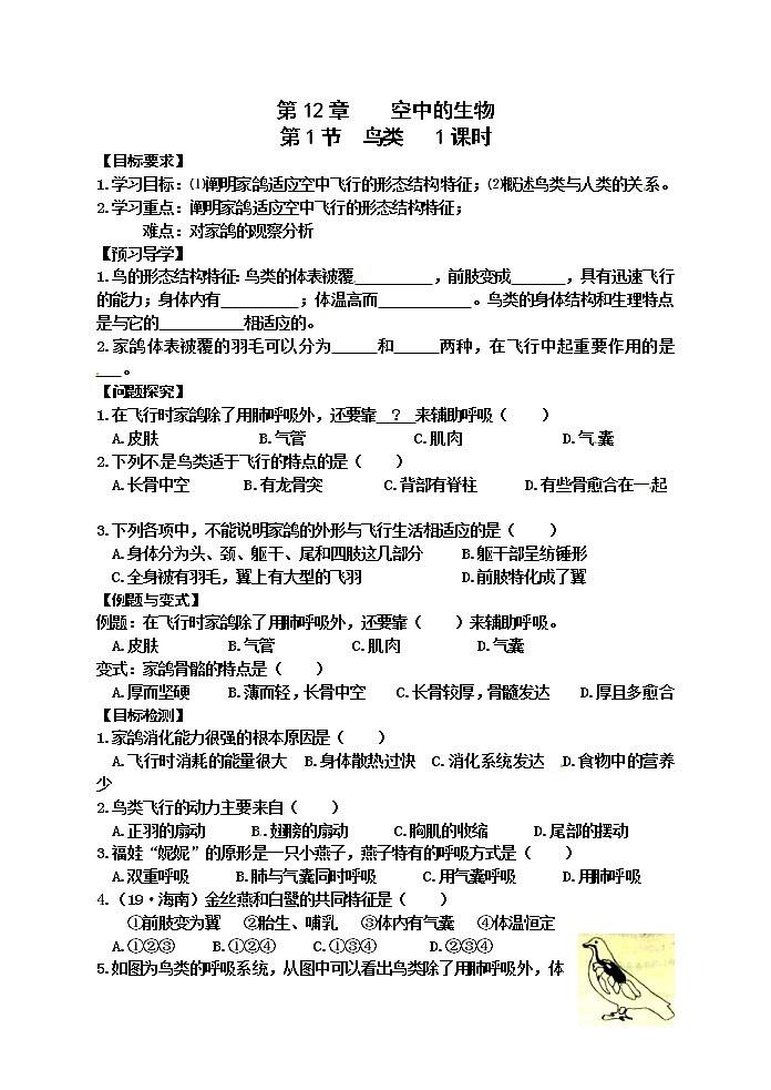 苏科版七年级生物下册学案:第12章第1节鸟类第1页