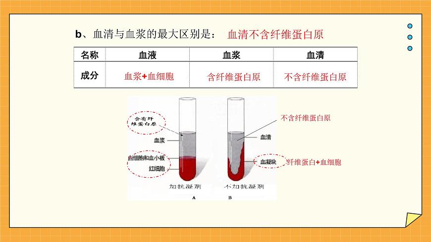 3.1 物質運輸?shù)妮d體 課件第6頁
