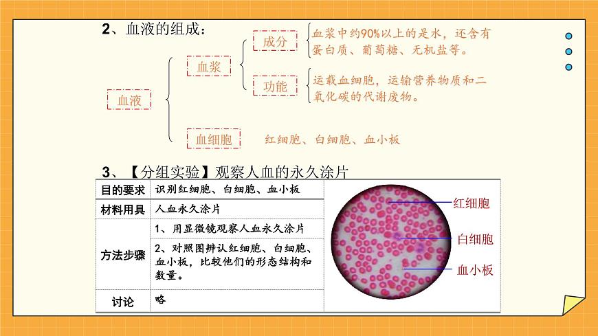 3.1 物質運輸?shù)妮d體 課件第7頁