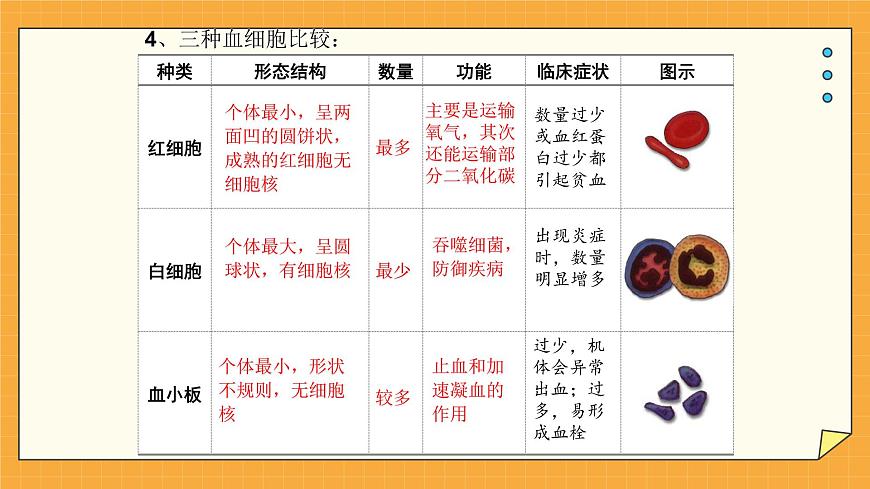 3.1 物質運輸?shù)妮d體 課件第8頁