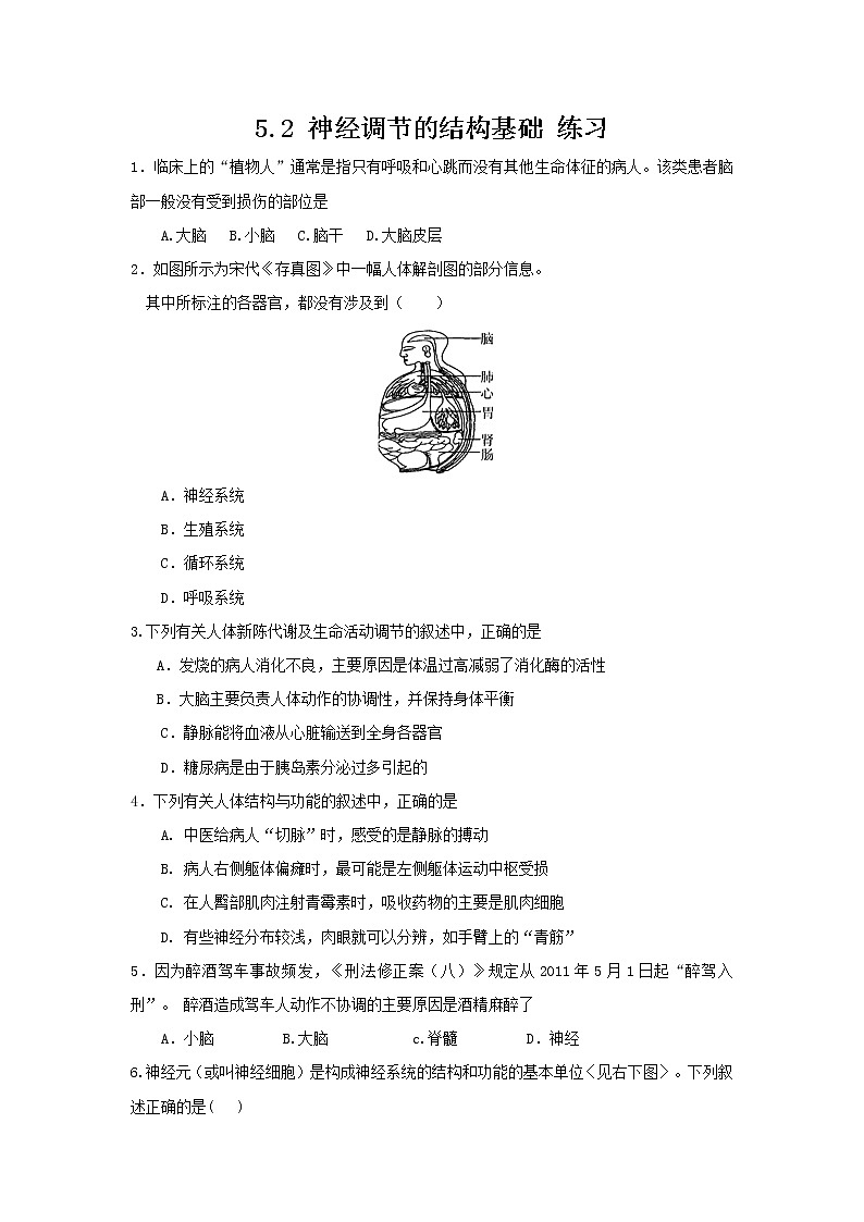 5.2 神經(jīng)調(diào)節(jié)的結(jié)構(gòu)基礎 練習第1頁