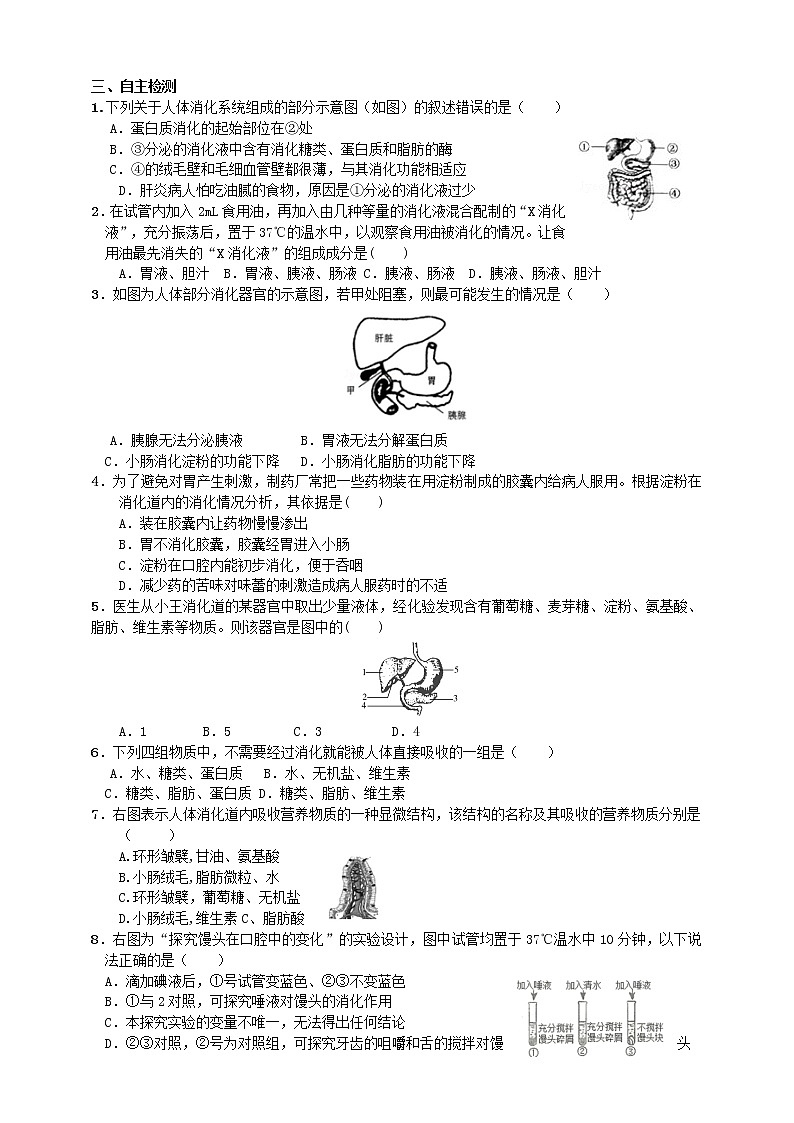 1.2消化和吸收 學(xué)案第3頁
