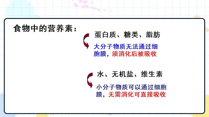 1.2消化和吸收 課件第4頁