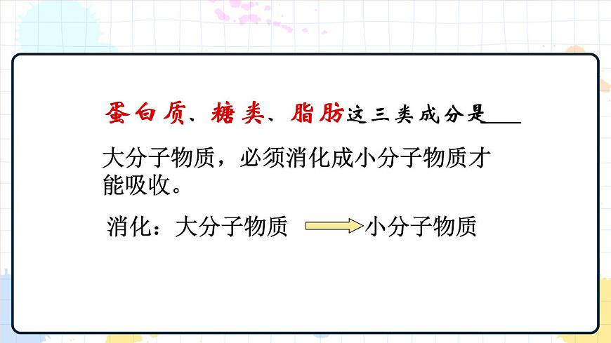 1.2消化和吸收 課件第5頁