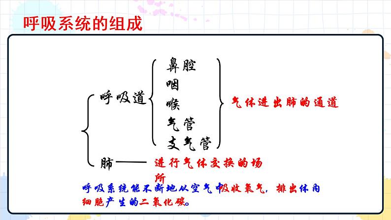 2.1 人体与外界的气体交换(课件+教学设计+练习+学案)05