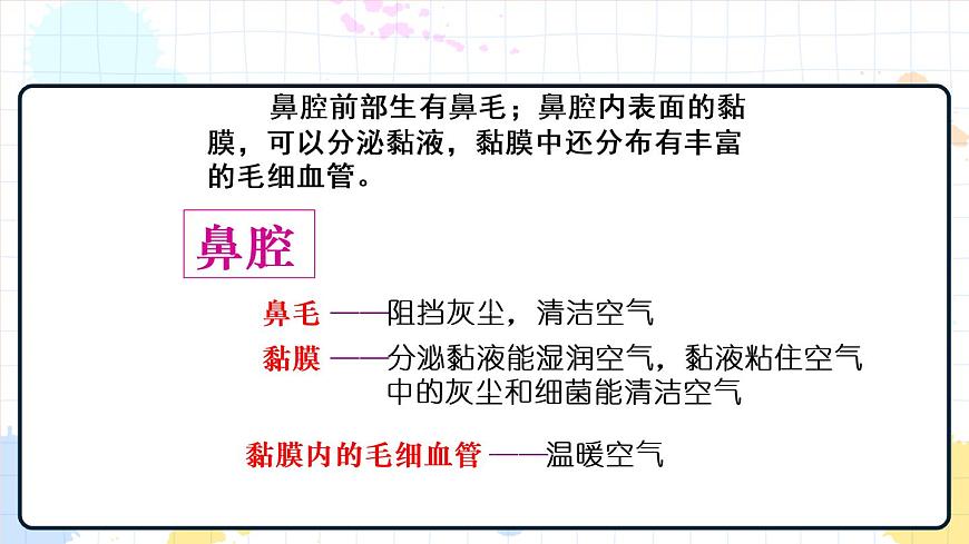 2.1人體與外界的氣體交換 課件第6頁