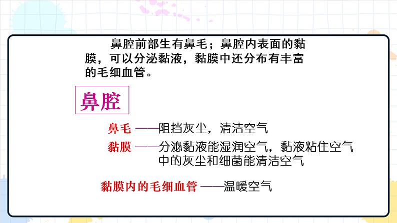 2.1 人体与外界的气体交换(课件+教学设计+练习+学案)06