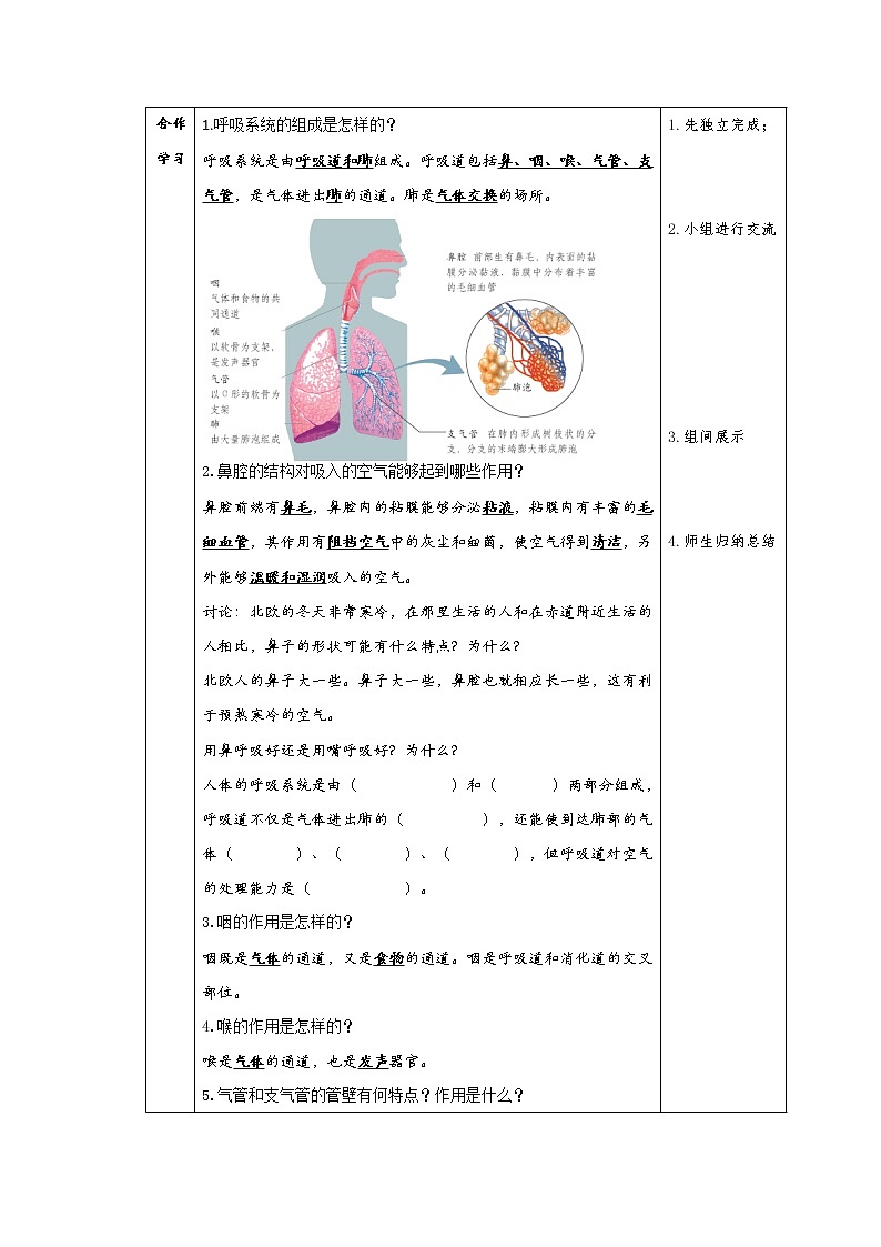 2.1 人体与外界的气体交换(课件+教学设计+练习+学案)02