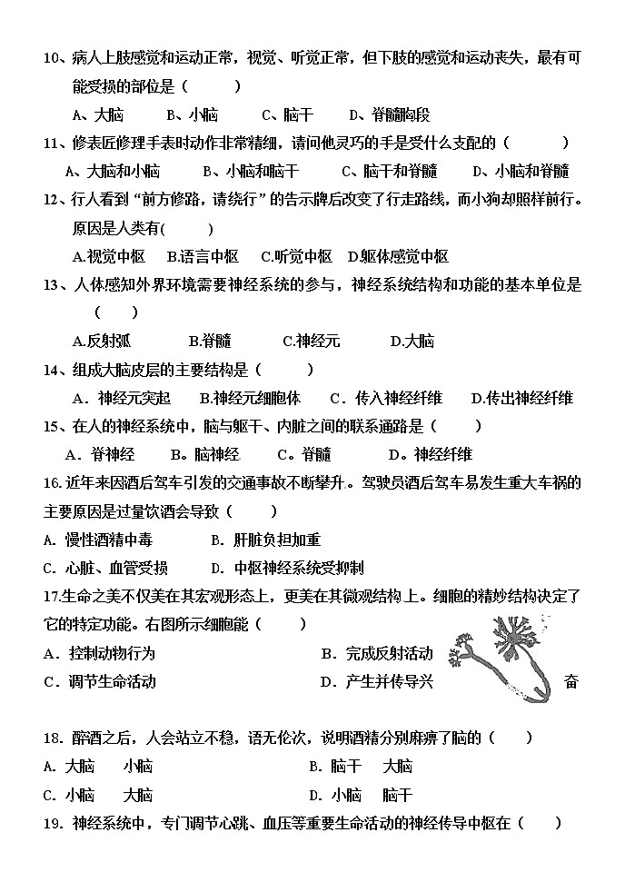 5.2 神經(jīng)調(diào)節(jié)的結(jié)構(gòu)基礎(chǔ) 練習(xí)第2頁(yè)