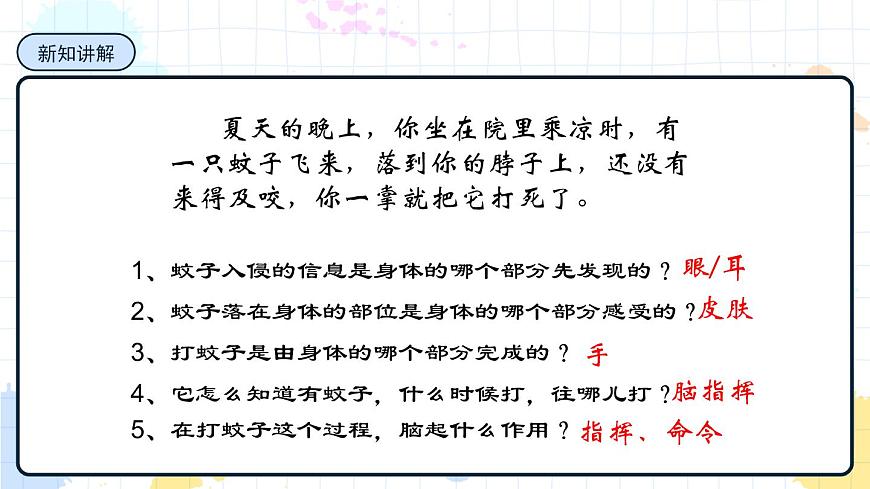 5.2 神經(jīng)調(diào)節(jié)的結(jié)構(gòu)基礎(chǔ) 課件第3頁(yè)