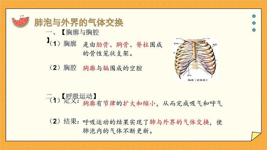 2.1人體與外界的氣體交換 課件第8頁