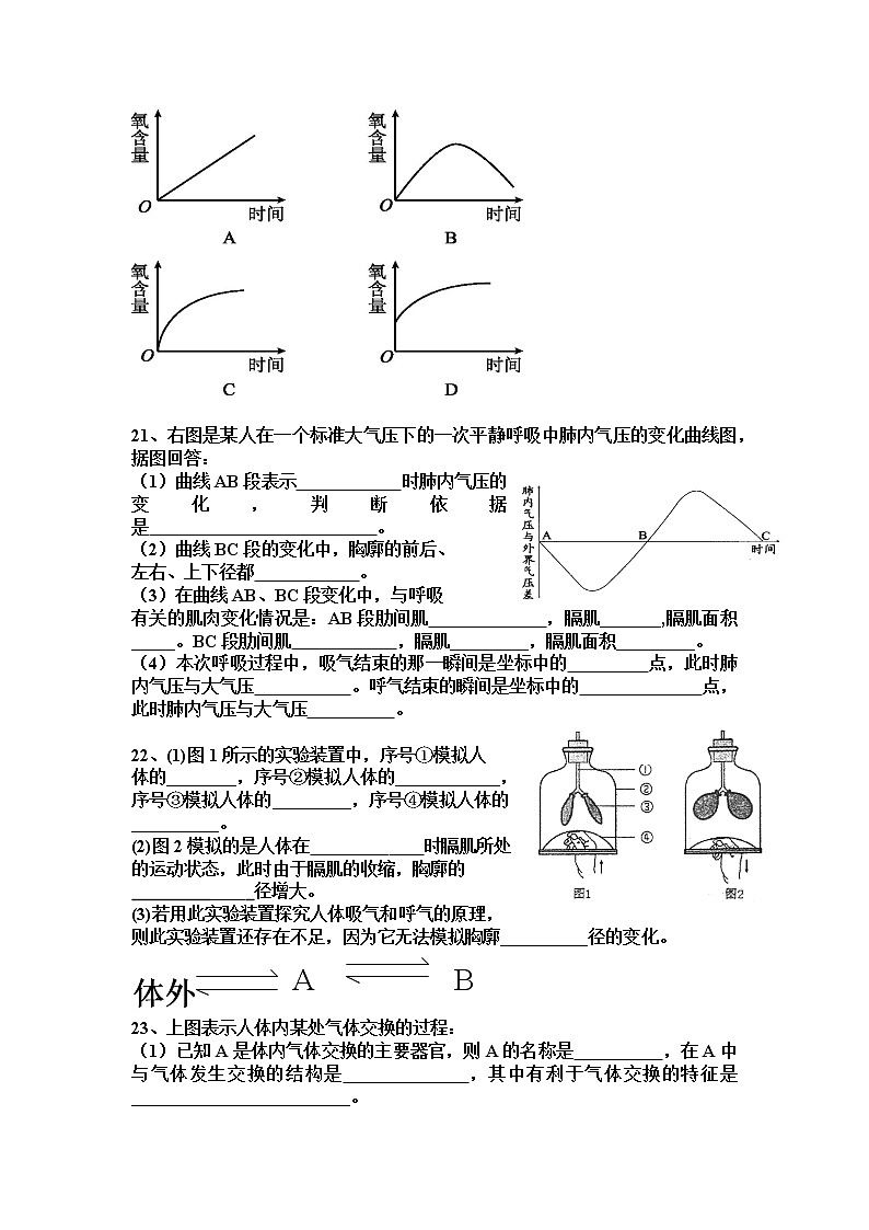 2.1人體與外界的氣體交換 練習(xí)第3頁
