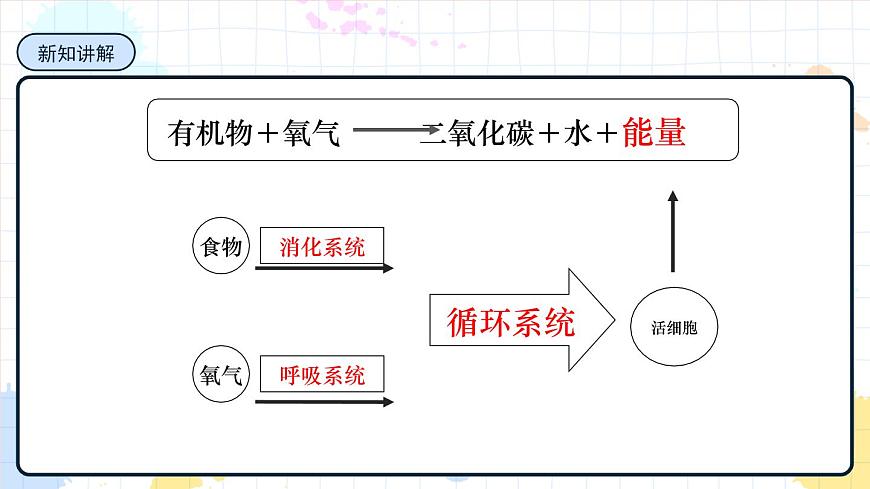 3.1 物質(zhì)運(yùn)輸?shù)妮d體 課件第3頁(yè)