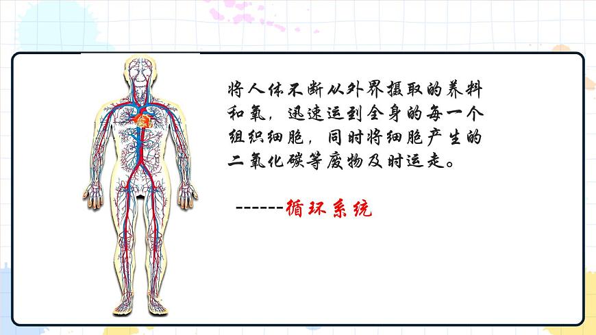 3.1 物質(zhì)運(yùn)輸?shù)妮d體 課件第4頁(yè)
