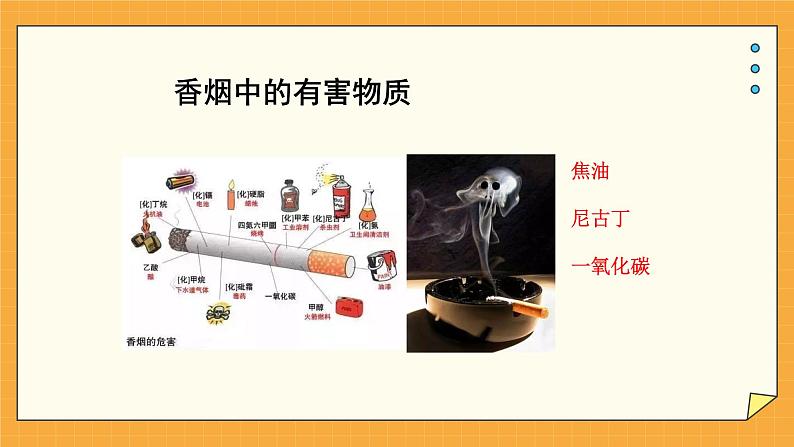 2.3 呼吸保健和急救 课件第7页