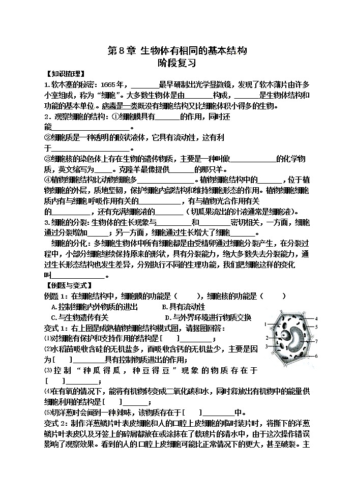 苏科版七年级生物下册学案:第8章阶段复习第1页