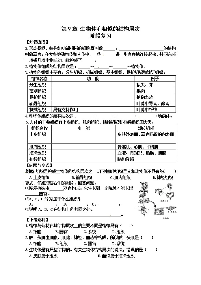 苏科版七年级生物下册学案:第9章阶段复习01