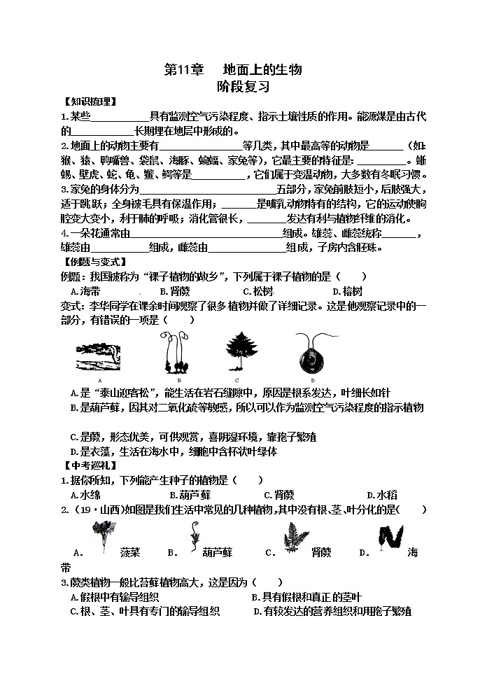 苏科版七年级生物下册学案:第11章阶段复习01