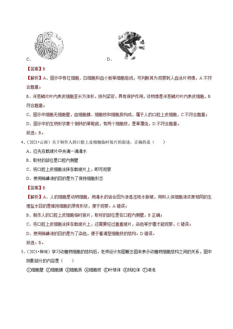 考点05 动植物细胞的结构- 《三步冲刺中考 生物》之第1步小题夯基础第2页