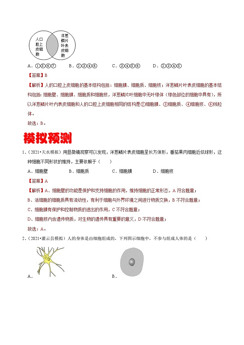 考点05 动植物细胞的结构- 《三步冲刺中考 生物》之第1步小题夯基础第3页