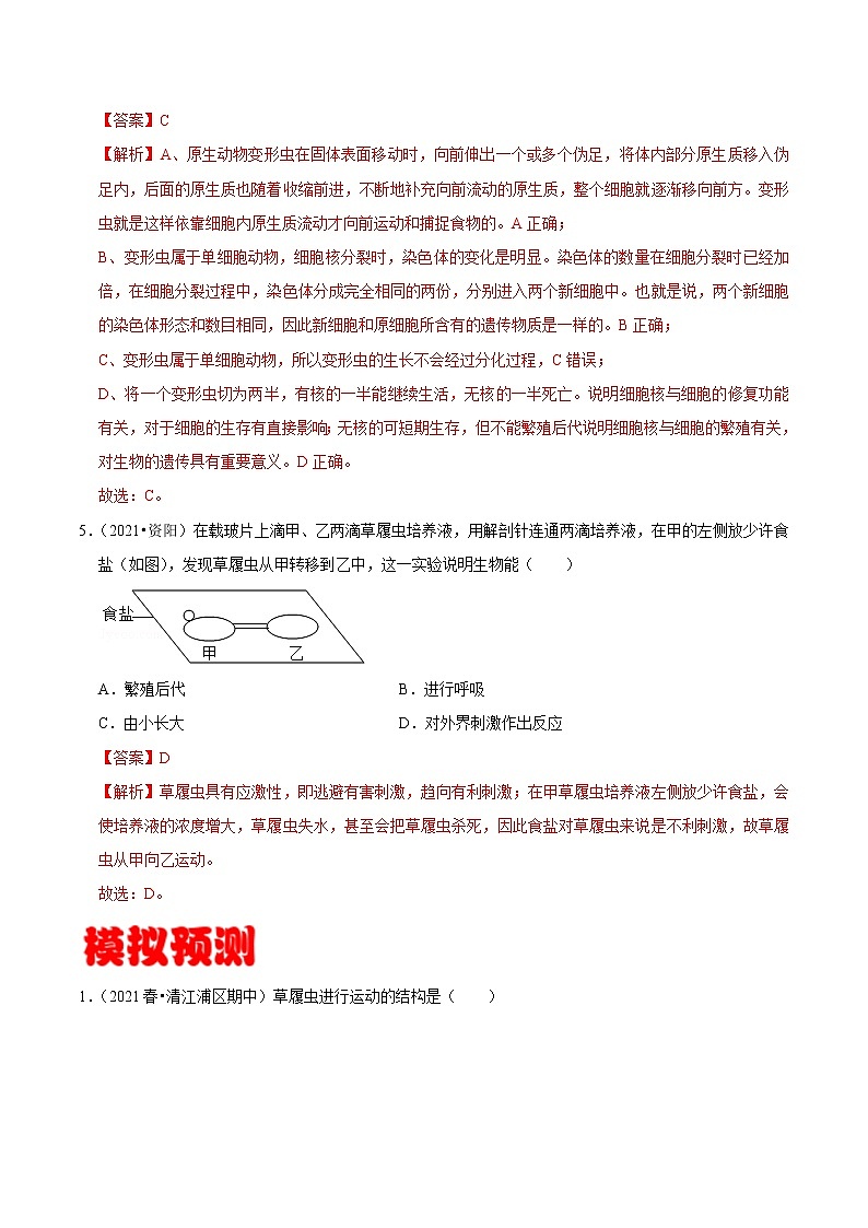 考点09 单细胞生物- 《三步冲刺中考 生物》之第1步小题夯基础第3页