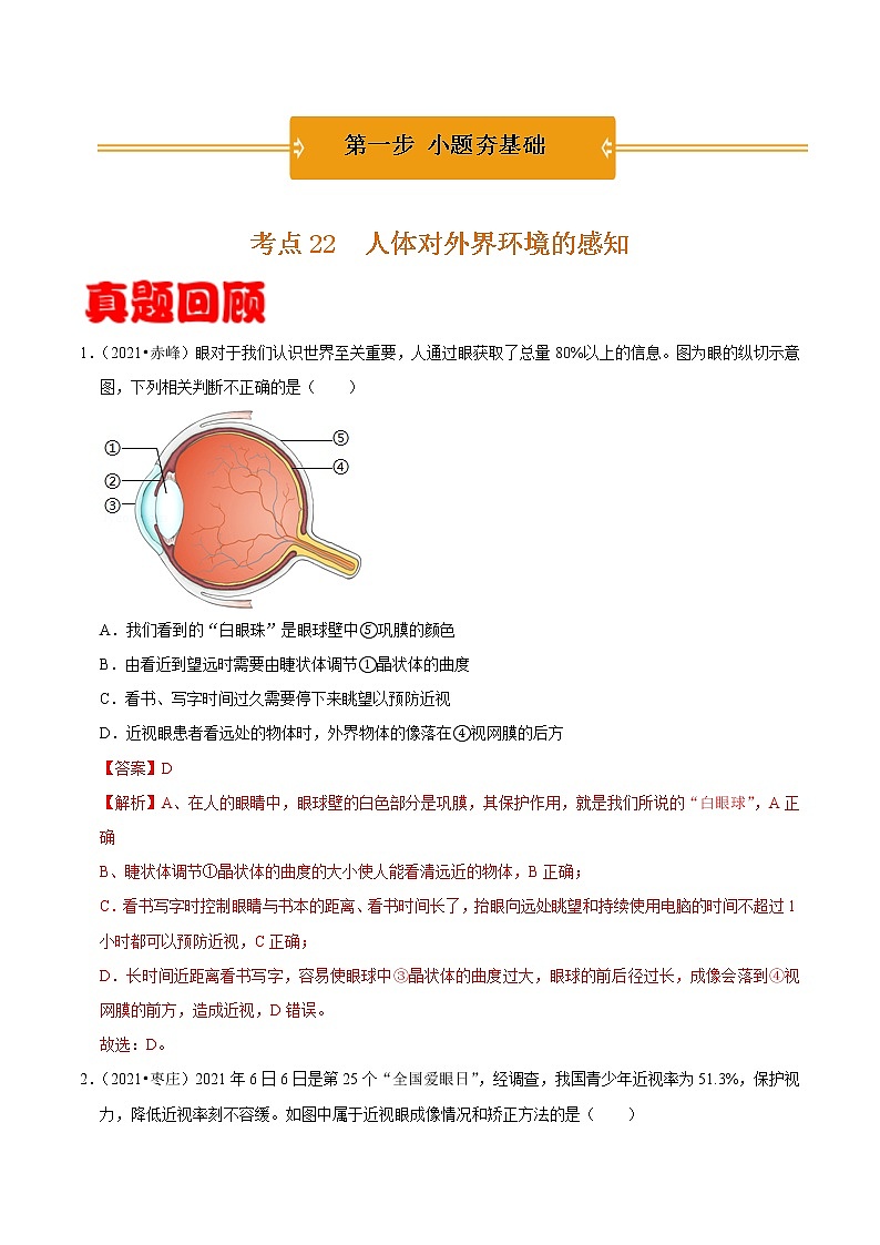 考点22 人体对外界环境的感知- 《三步冲刺中考 生物》之第1步小题夯基础第1页