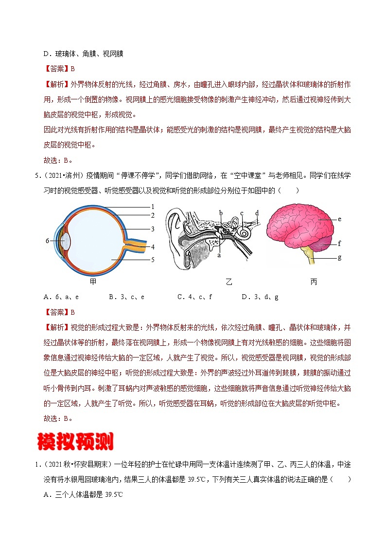 考点22 人体对外界环境的感知- 《三步冲刺中考 生物》之第1步小题夯基础第3页