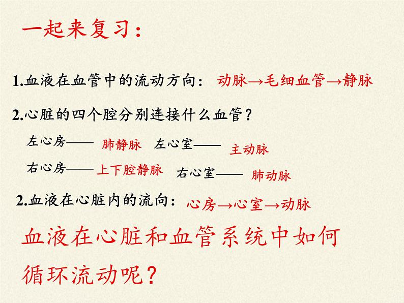 北师大版生物七年级下册 第9章 第2节 血液循环(2)(课件)第2页