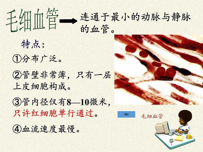 北师大版生物七年级下册 第9章 第2节 血液循环(10)(课件)第6页