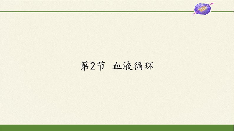 北师大版生物七年级下册 第9章 第2节 血液循环(12)(课件)01