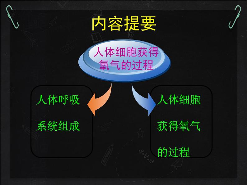 北师大版生物七年级下册 第10章 第2节 人体细胞获得氧气的过程(1)(课件)第2页