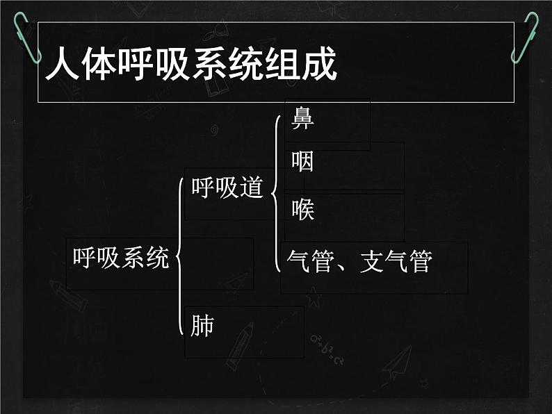 北师大版生物七年级下册 第10章 第2节 人体细胞获得氧气的过程(1)(课件)第3页