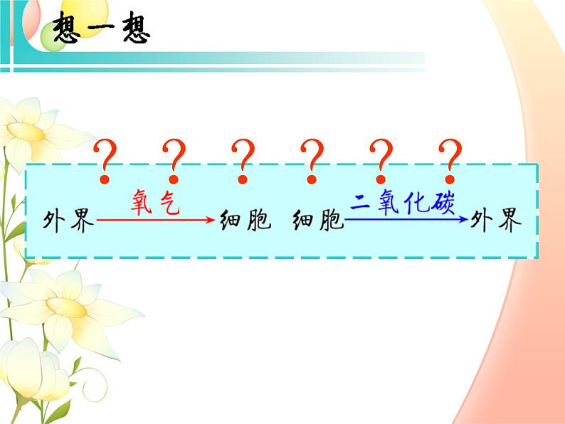 北师大版生物七年级下册 第10章 第2节 人体细胞获得氧气的过程 (第2课时)(课件)第2页