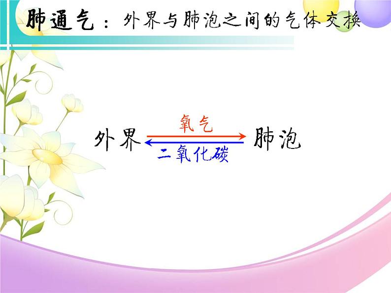 北师大版生物七年级下册 第10章 第2节 人体细胞获得氧气的过程 (第2课时)(课件)第4页