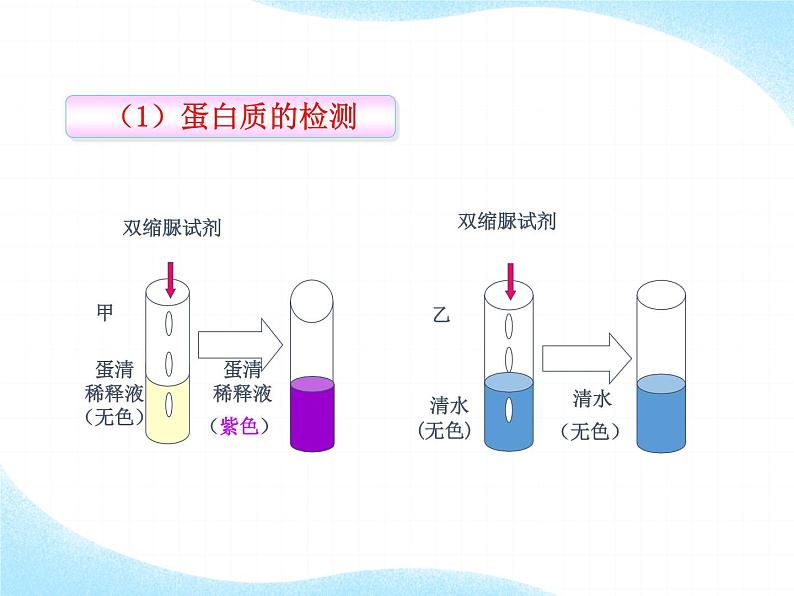 北师大版生物七年级下册 第8章 第1节 人类的食物(课件)第6页