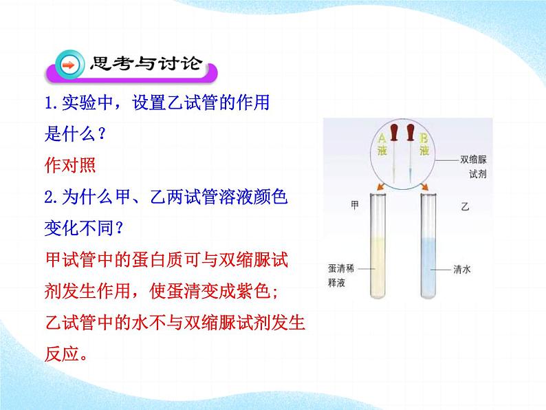 北师大版生物七年级下册 第8章 第1节 人类的食物(课件)第7页