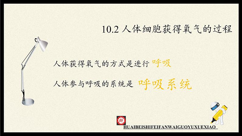北师大版生物七年级下册 第10章 第2节 人体细胞获得氧气的过程(7)(课件)第4页