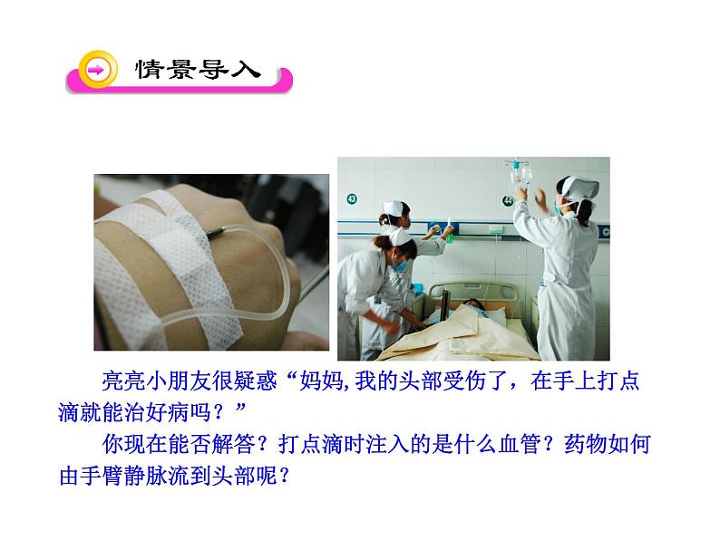 北师大版生物七年级下册 第9章 第2节 血液循环_(课件)第2页