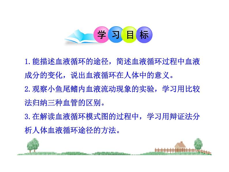 北师大版生物七年级下册 第9章 第2节 血液循环_(课件)第3页