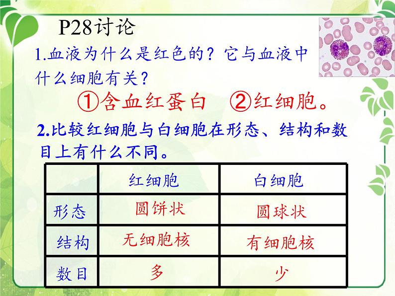 北师大版生物七年级下册 第9章 第1节 血液(2)(课件)第8页