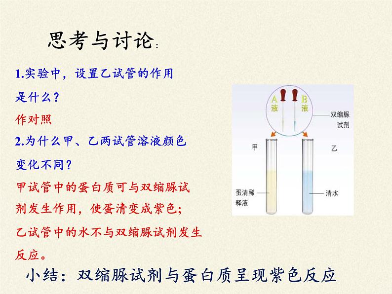 北师大版生物七年级下册 第8章 第1节 人类的食物(7)(课件)第5页