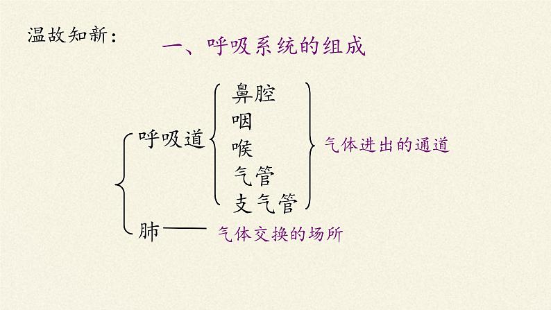 北师大版生物七年级下册 第10章 第2节 人体细胞获得氧气的过程(2)(课件)第2页