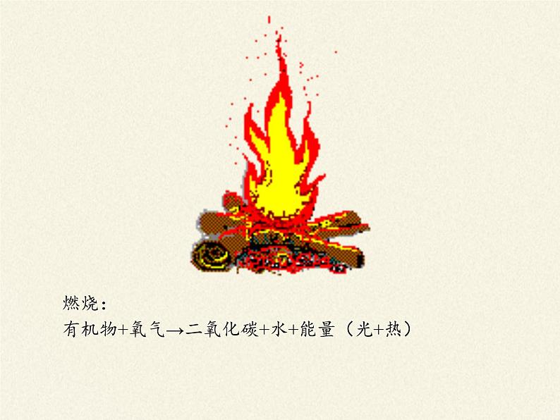 北师大版生物七年级下册 第10章 第1节 食物中能量的释放(5)(课件)第2页